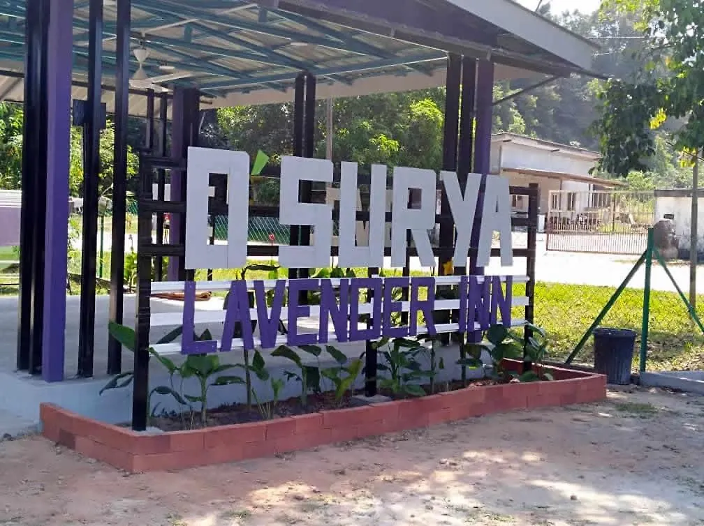 D' Surya Lavender Inn Pantai Cenang  Malaysia